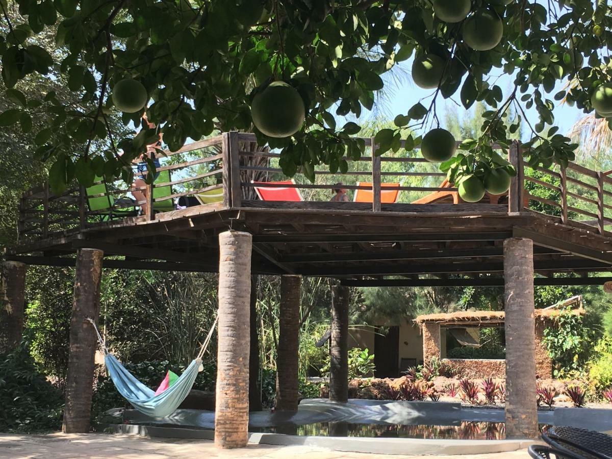 Footsteps Eco-Lodge Gunjur エクステリア 写真